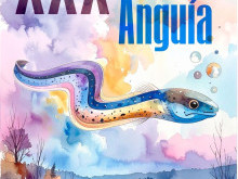 Cartaz XXX Festa da Angua