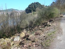 Adecuacin da ribeira do ro  altura de A Ponte.