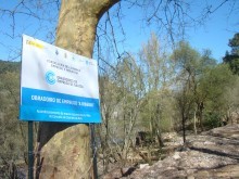 Obradoiro de Emprego 