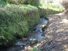 Adecuacin do regato de Reigoso  altura de A Ponte.