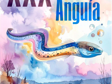 XXX Festa da Angua
