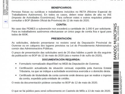 BANDO 12/2020: Subvenciones a PYMES y AUTNOMOS