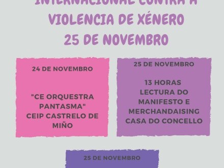 CONMEMORACIN 25 DE NOVEMBRO