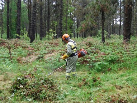 A Xunta concede permisos para queimas