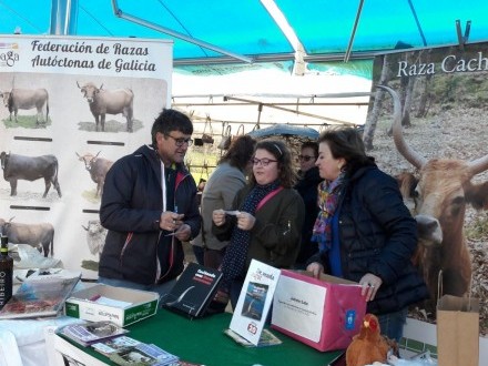 Gaadores do concurso CastreloSabe