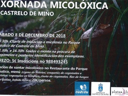 XORNADA MICOLXICA EN CASTRELO DE MIO