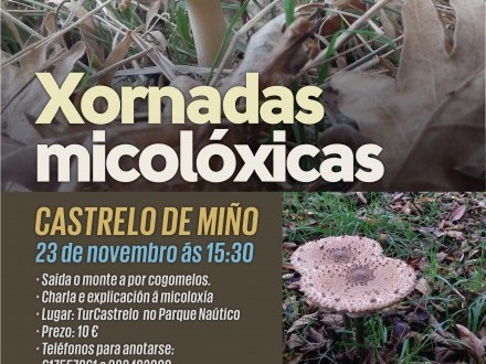 Xornadas Micolxicas en Castrelo de Mio