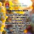 FERIA DE CASTRELO
