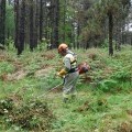 A Xunta concede permisos para queimas